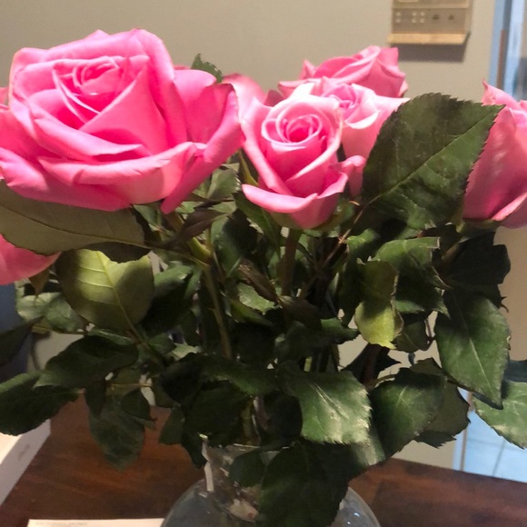 Meet your Posher, Juanita - Picture 1 of 1